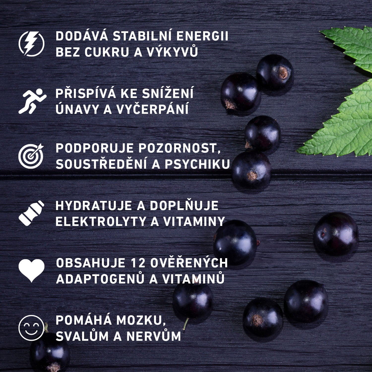 HYDRATION + ENERGY - Černý rybíz