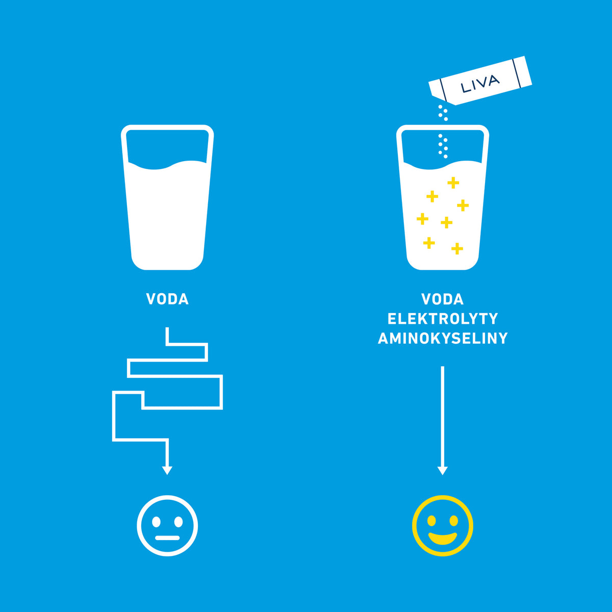 HYDRATION - Citron